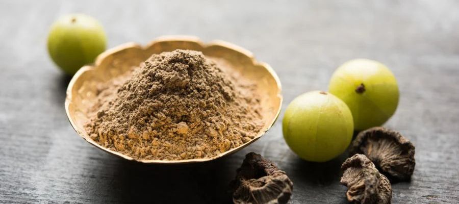 Best 5 Amla Powders for Hair and Skin Care | Amla Powder Recommendation