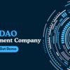 DAO Development Company – Touch Crypto