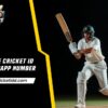 online cricketid