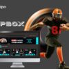 Your Beginner-Friendly Guide to VIPBox Streaming