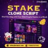 Take Over the Crypto Gaming Market with a Powerful Stake Clone Script