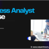 Beginner’s Guide to the Business Analyst Course
