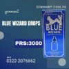 Blue Wizard Drops Price in Muzaffargarh, Abbottabad