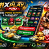 11xplay Pro Platform for Live Sports Betting & Casino Games