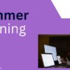 Online & Offline Summer Training Program