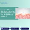 Premium Mouse Skin Epithelial Cells line for Laboratory Research