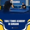 Premium Table Tennis Academy in Gurgaon for Skill Development