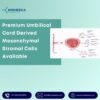 Premium Umbilical Cord Derived Mesenchymal Stromal Cells Available