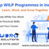 Career-Oriented WILP Courses with Expert Guidance