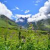 Valley of Flowers From Haridwar