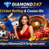 Diamond247 Official – Cricket Betting & Casino ID