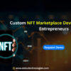 Custom NFT Marketplace Development for Entrepreneurs