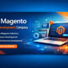 Magento Web Development Service
