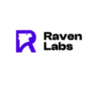 IT Support Managed Services – Raven Labs