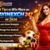 Best Tips to Win More on Playinexch 247 in 2026