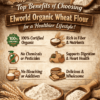 Wheat Flour | Elworld organic