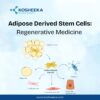 Adipose Derived Stem Cells: Regenerative Medicine