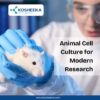 Animal Cell Culture for Modern Research
