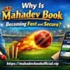 Mahadev Book Platform Review for Beginners