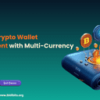 Enhance Crypto Wallet Development with Multi-Currency Support