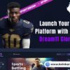 Launch Your Fantasy Platform with KoinKart’s Dream11 Clone Script