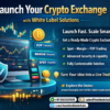 Launch Your Crypto Exchange with White Label Solutions