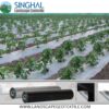 High Quality Mulch Film For Better Farming