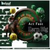 Act Fast, Earn Big – The Bet365 Clone That Prints Profits