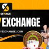 Get Your Secure Sky Exchange ID Today