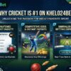 Why Cricket is the Most Popular Sport on Khelo24bet