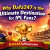 Dafabet 247: Best Platform for IPL Match Tracking & Betting