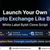 Launch Your Own Crypto Exchange Like Bybit